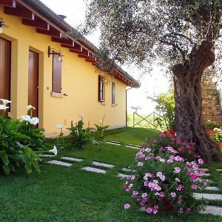 Agriturismo Tenuta Santa Maria Notaresco エクステリア 写真