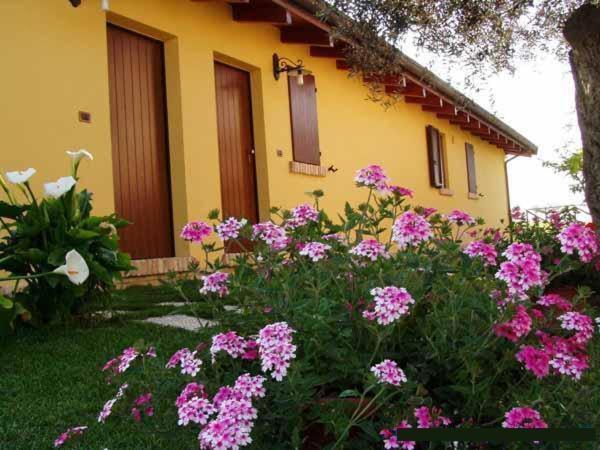 Agriturismo Tenuta Santa Maria Notaresco エクステリア 写真