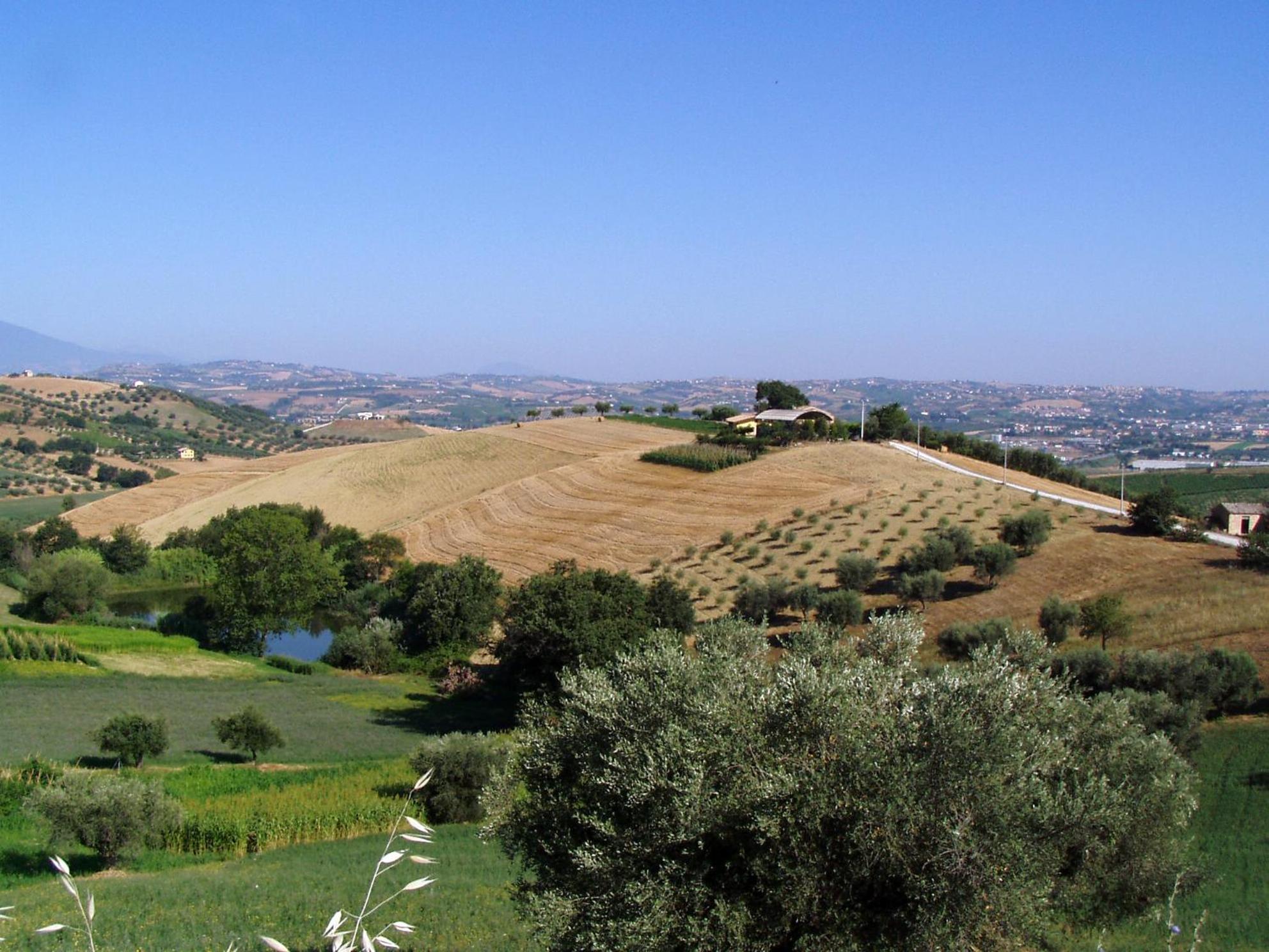 Agriturismo Tenuta Santa Maria Notaresco エクステリア 写真
