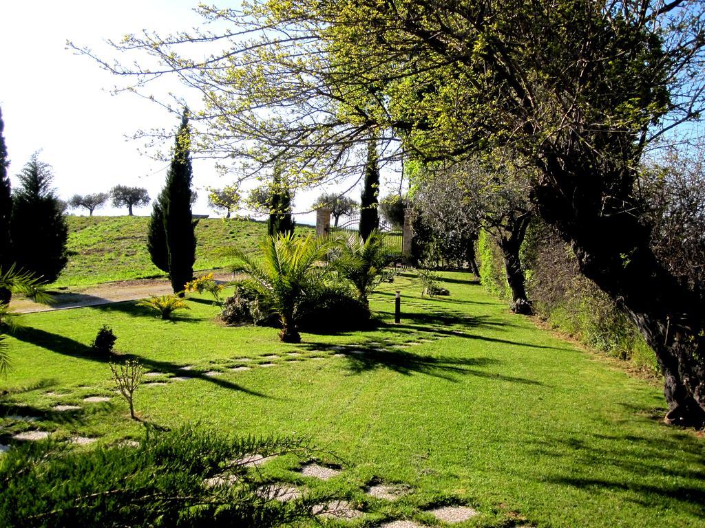 Agriturismo Tenuta Santa Maria Notaresco エクステリア 写真