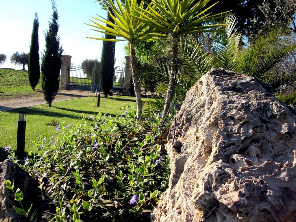 Agriturismo Tenuta Santa Maria Notaresco エクステリア 写真