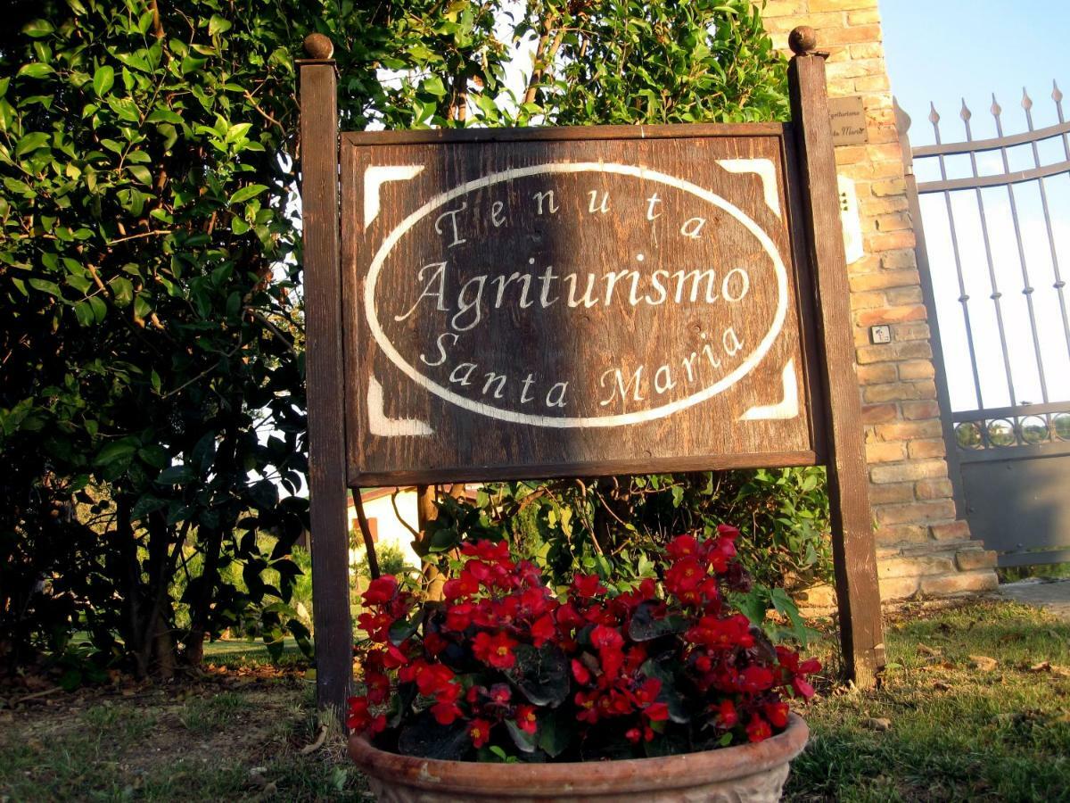 Agriturismo Tenuta Santa Maria Notaresco エクステリア 写真