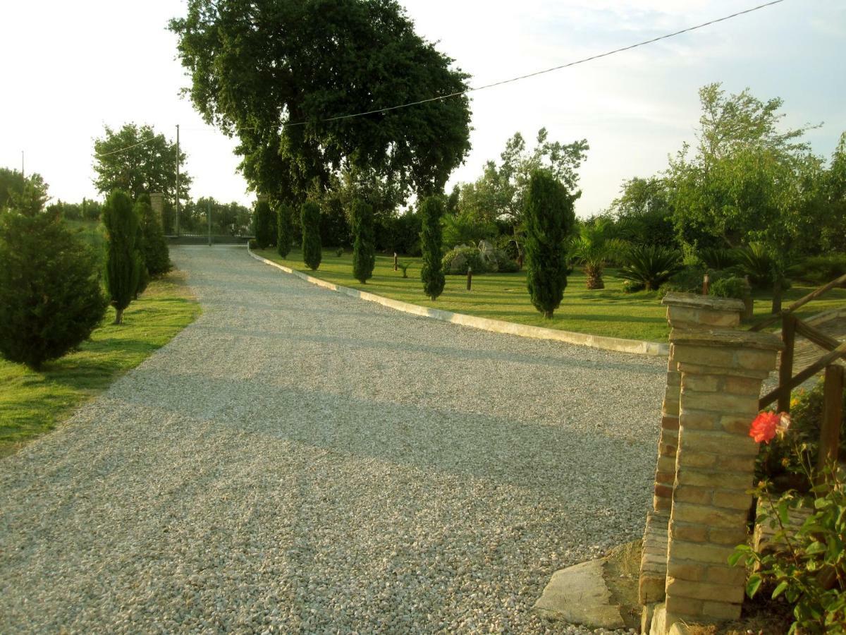 Agriturismo Tenuta Santa Maria Notaresco エクステリア 写真